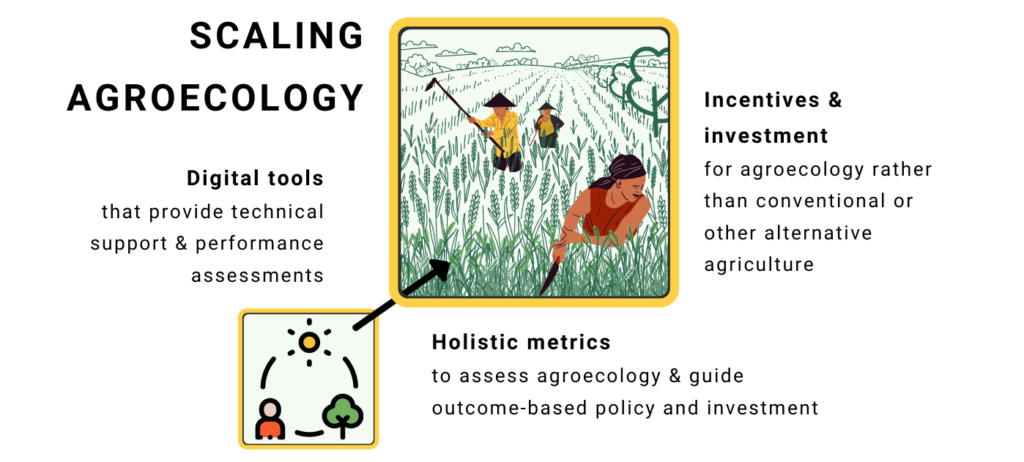 Agroecological TRANSITIONS scaling
Inclusive Digital Tools