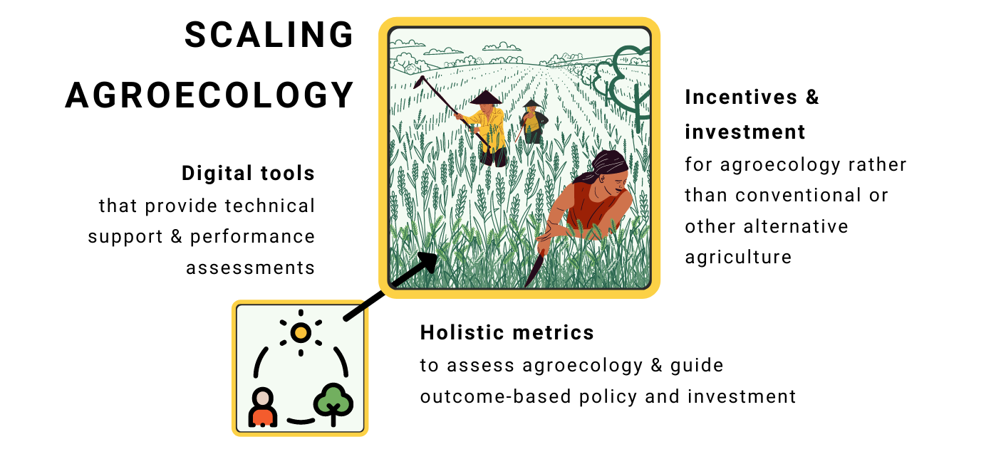 Inclusive Digital Tools Project (ATDT) (ATDT) To Scale Agroecology