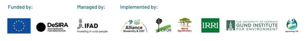 The Inclusive digital tools project is funded by the European Union through its DeSIRA initiative and managed by the International Fund for Agricultural Development (IFAD). Logos of these funders and the implementing partners